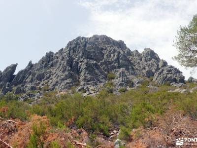 Sierra de Francia: naturaleza que inspira; rios y senderos grupos de turismo ruta sierra de madrid v